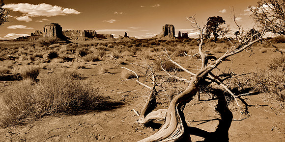 Monument Valley II