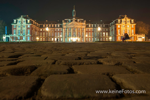 Westfälische Wilhelms-Universität Münster