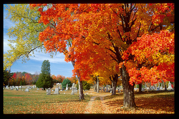 Vermont Graveyard I