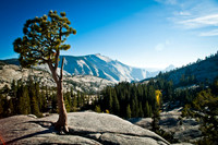Yosemite II