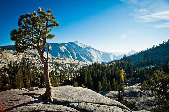 Yosemite II